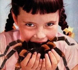 girleatingspider